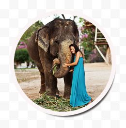 泰国旅游大象装饰图案...