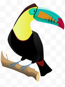 卡通彩色的啄木鸟
