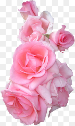 唯美婚礼粉红色花朵