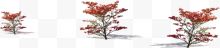 红色高清创意环境梅花树