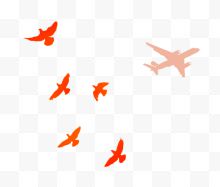 飞机和鸟