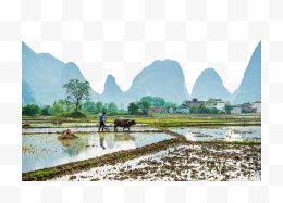 桂林农田