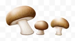 卡通手绘三个蘑菇