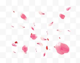粉红玫瑰花花瓣漂浮装饰...