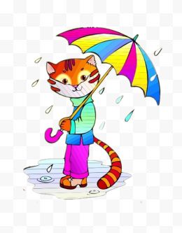 雨中的猫咪