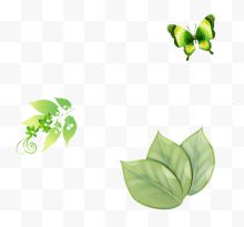 绿色手绘树叶蝴蝶装饰图案