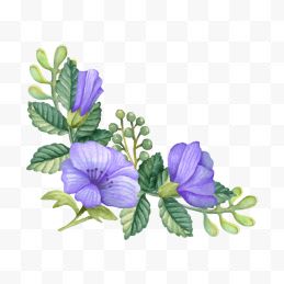 手绘水彩紫色鲜花