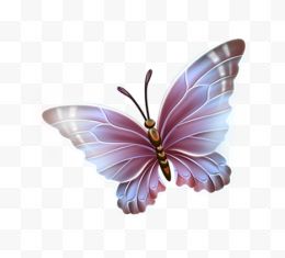 漂亮的手绘重彩蝴蝶...