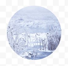 冬季草木白雪插画
