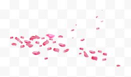 铺满地方粉色花瓣中秋