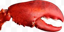 红色龙虾钳子