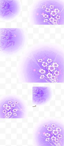 矢量紫色装饰花纹