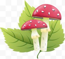 红色蘑菇绿叶