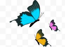 三只彩色蝴蝶