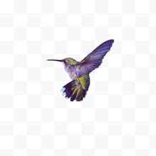 紫色飞翔的小鸟