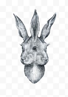 三耳兔子