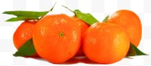 五个新鲜橙子