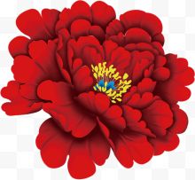 红色立绘海棠花