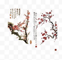 作音画图文专用漂亮的综合{15}花开富贵