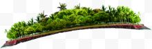 热带森林植物合成