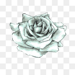 黑白色玫瑰花卡通