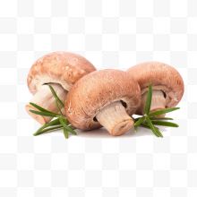 三个蘑菇