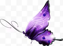 渐变紫色蝴蝶