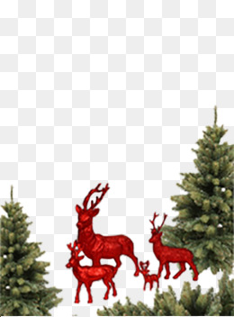 麋鹿和圣诞树