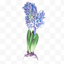 卡通手绘蓝色的花朵