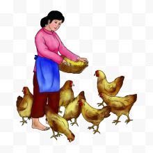 农村妇女喂母鸡