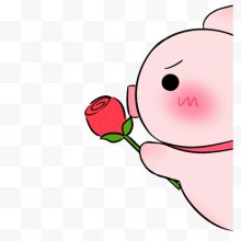 小猪玫瑰