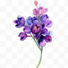 水彩紫色鲜花