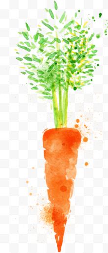 卡通水彩蔬菜萝卜