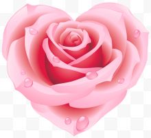 粉色心形玫瑰花