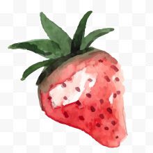 矢量卡通水彩草莓水果...