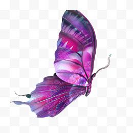 紫色飞舞的蝴蝶