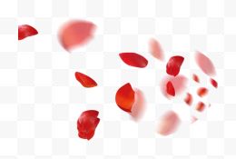 红色漂浮玫瑰花瓣活动电商