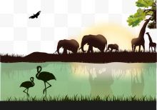 彩色非洲野生动物草原...