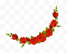 手绘花朵植物红玫瑰...