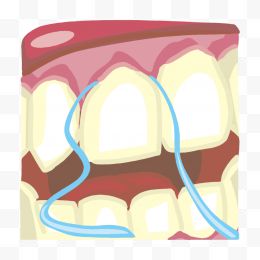 矢量牙齿健康插图