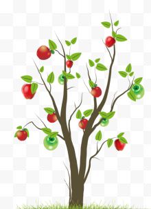 2017红苹果树青苹果树