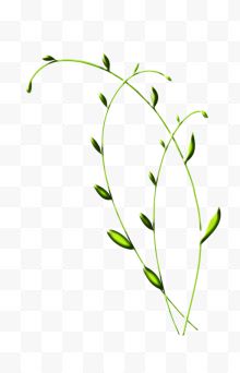 三根绿色藤蔓