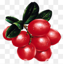 红红水果