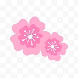 两朵粉色樱花