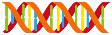 彩色矢量卡通风格DNA