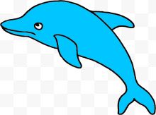 跳跃的蓝色海豚