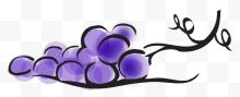 水彩紫葡萄
