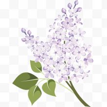 手绘一束紫色丁香花时尚插画