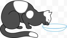喝水的卡通猫咪