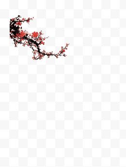 春节梅花装饰高清图